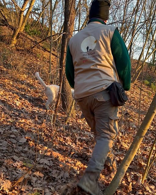Alex e Gold camminano nel bosco in autunno